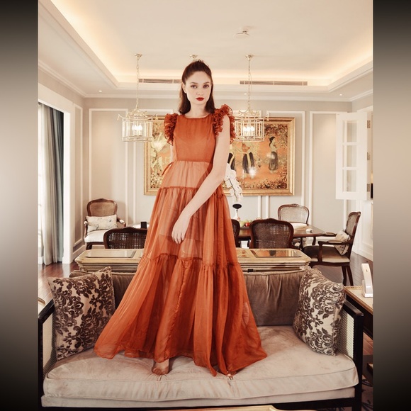 Lelasilk Sheer Silk Maxi Dress - Picture 1 of 11